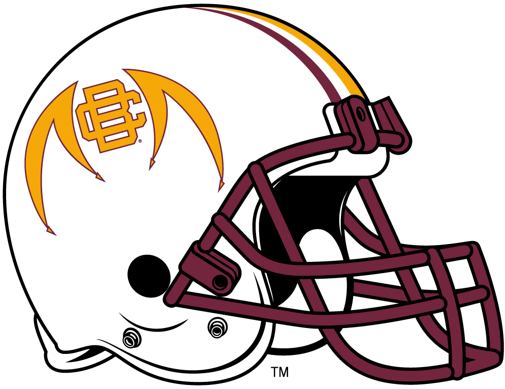 Bethune-Cookman Wildcats 2010-2015 Helmet Logo iron on transfers for T-shirts